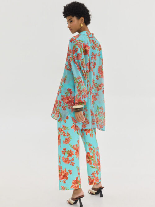 Hemithea11184583 1 1026x1536