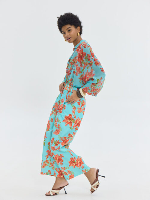 Hemithea11184608 scaled 1